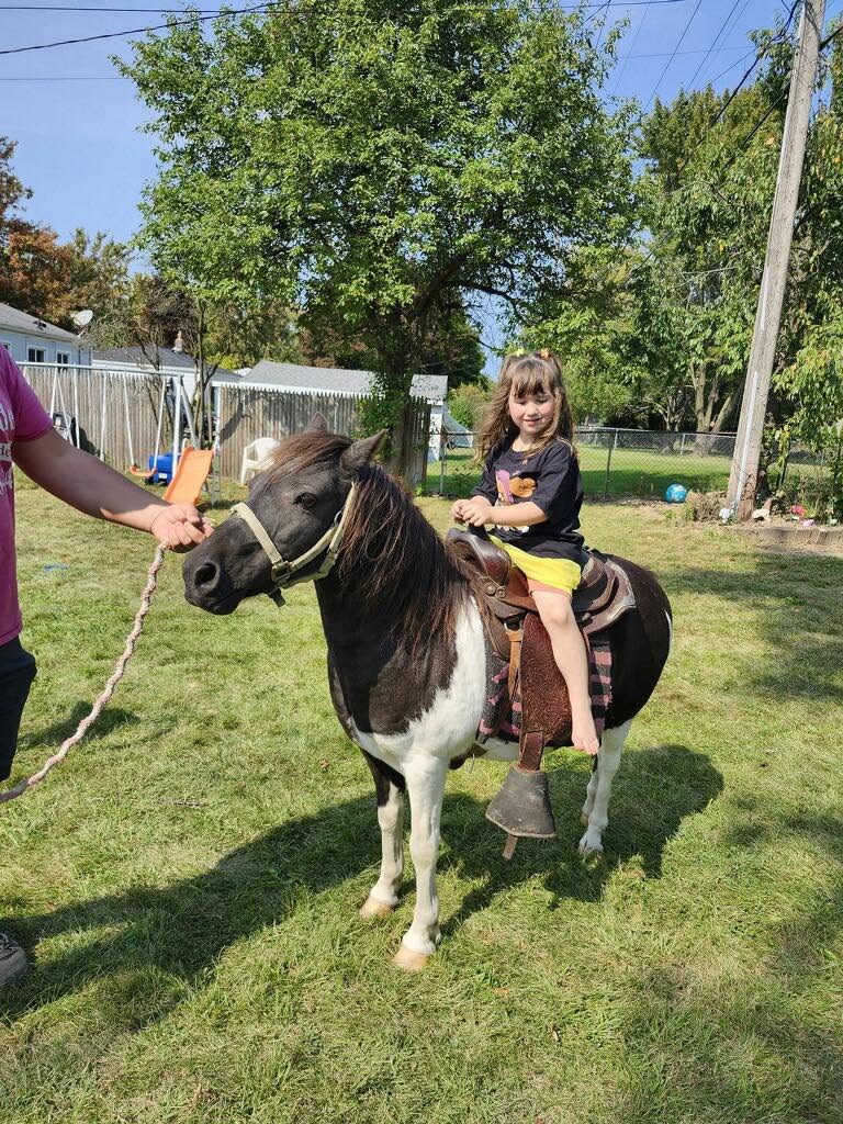 A child enjoying a guided ride on a black and white pony in a backyard